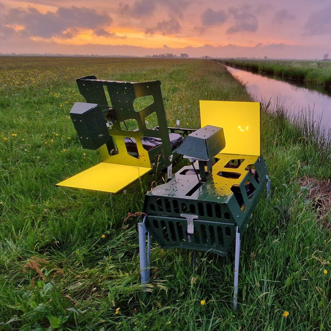 DIOPSIS insect camera in Dutch landscape
